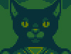 Cat Astro Phi