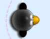 Sliding Penguin